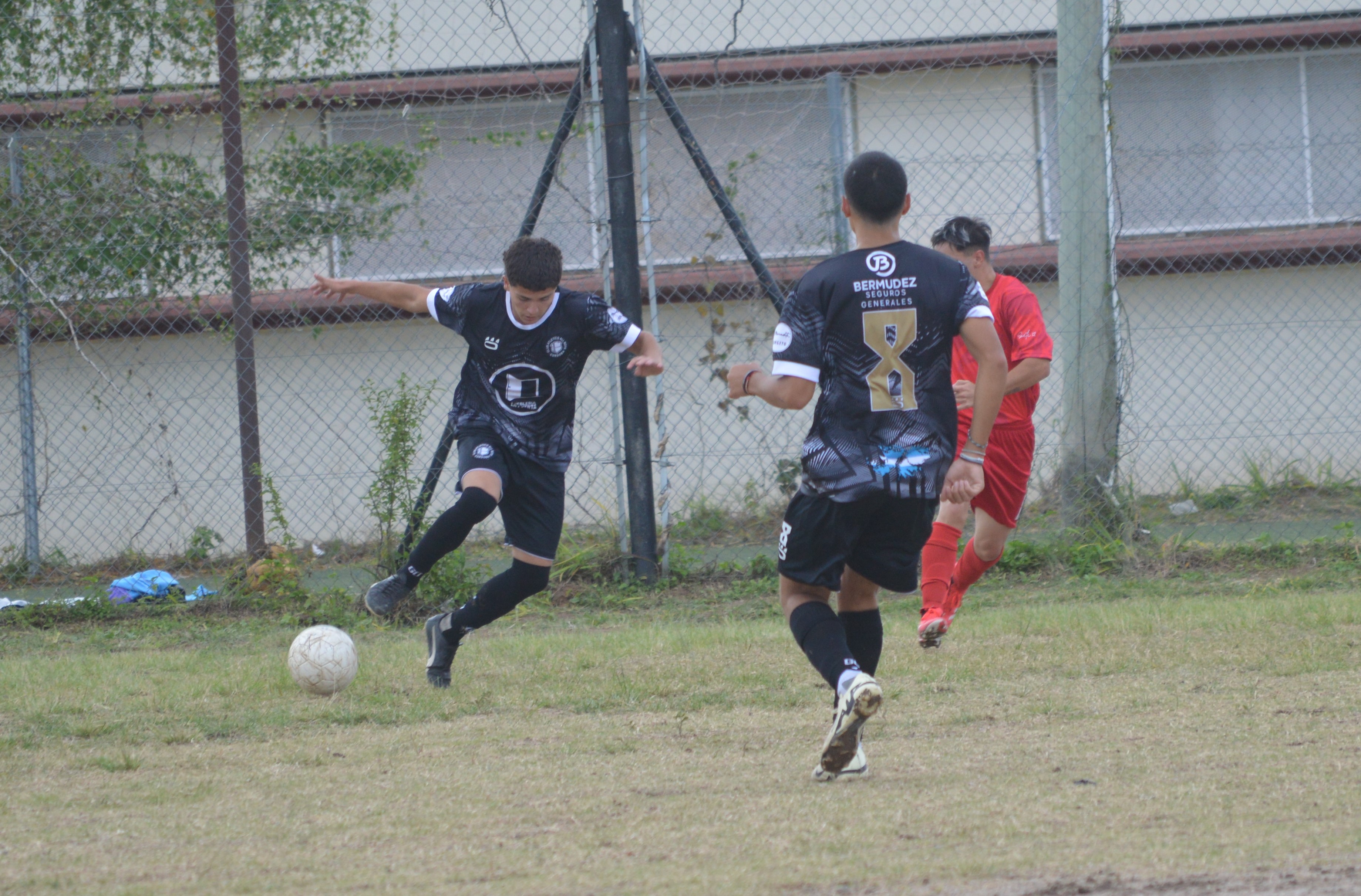 Imagen 3